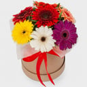 Flor de Siete Pétalos