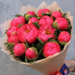 Bouquet of peonies