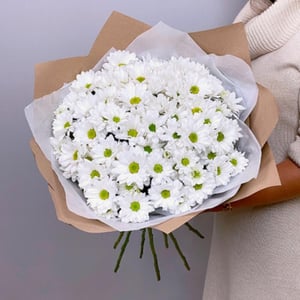 Bouquet of 11 chrysanthemums