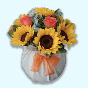 Arrangement 'Marjorie's Aquarium'