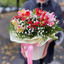 Blumenbox 'Heller Stern'