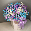 Gypsophila arcoíris en una caja ligera