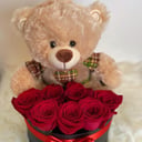 A special box — a gift that speaks for itself