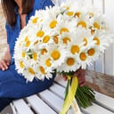 Blumenstrauß '101 chamomile'