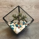 Florarium "Würfel mit Sukkulenten und Dekor"