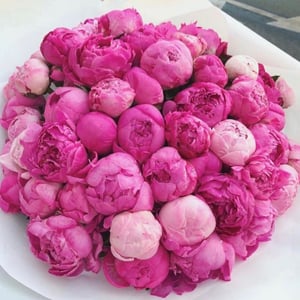 Bouquet 'Spark from fire'