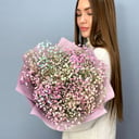 Colored gypsophila