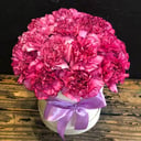 Blumenbox 'Dianthus in einer Hutschachtel'