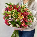 Bouquet of 25 Alstroemerias