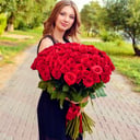 Rose red 101 pcs Premium