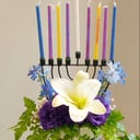 Ramo 'Luz y Floració'