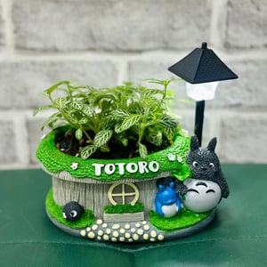 Totoro Plant Pot - Lamp