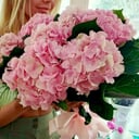 Bouquet 'Princess Eugenie'