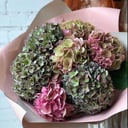 Bouquet 'Lush feelings'