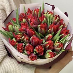 Blumenstrauß 'Doyle'