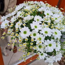 Bouquet 'Forest chamomile'