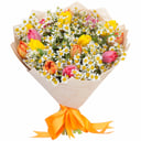 Bouquet of Tulips and daisies