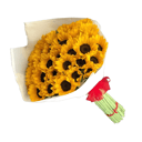 Bouquet of 50 sunflowers