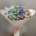 Bouquet 'Rainbow Gypsophila'