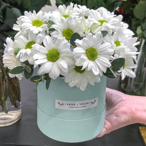 Hat box with flowers 'Bush chrysanthemums in a hatbox'