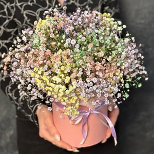 Rainbow gypsophila in a hatbox