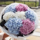 Bouquet of tender hydrangea "Mix"