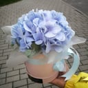 Delicate hat box with hydrangea