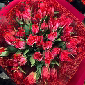 Blumenstrauß 'Tulip Dream'