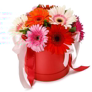Blumenarrangement 'Flowers in a box 7 gerberas coloring page'