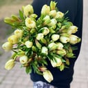Bouquet 'Friendship'