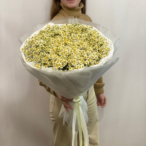 Bouquet 'Chamomile'