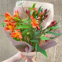 Bouquet 'Fiery alstroemerias'