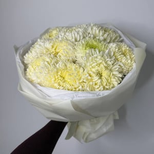 White Chrysanthemum Bouquet 'Fred'