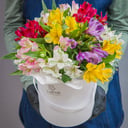 Blumenbox 'Butterflies'