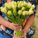 Ramo 'Spring fragrance'