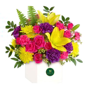 Flower box 'Colorful Celebration'