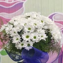Daisy bouquet with vase