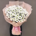 Bouquet "Daisies"