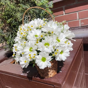 Flower basket 'Chrysanthemum in a basket'