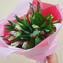 Ramo de Alstroemerias