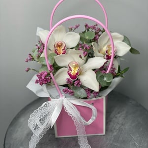 Flower box 'Orchids in a bag'