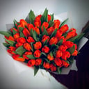 45 orange Dutch tulips