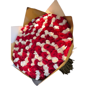 Colossal 200-rose bouquet