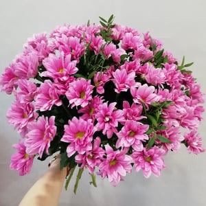 Chrysanthemum bouquet