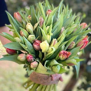 Blumenstrauß 'Spring hello'