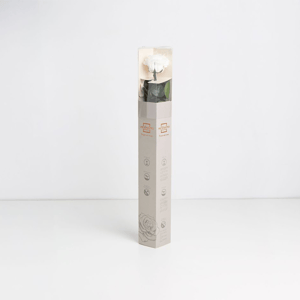 Rosa preservada blanca