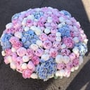 Large bouquet of peonies and hydrangeas