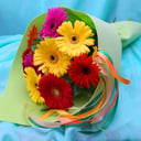 11 multicolored gerberas