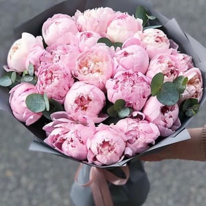 Ramo '21 peony Sarah Bernhardt'