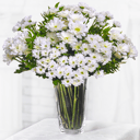 Bouquet 'A Dozen of Daisies'